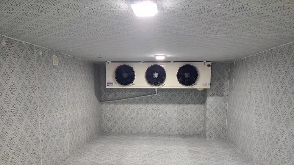 ���������г�