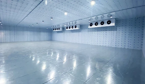 �����ٶ���|�䶳��