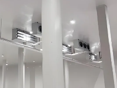 ��������Ч����ɱ��� ������ս����