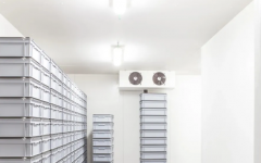 �ƽ��ȴ�ˮ���������⣡�㶫KPL�����㽶����